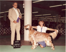 Picture of first show dog
